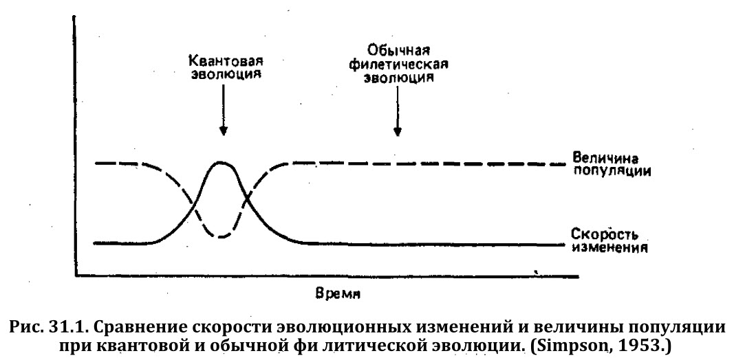 Глава 31-1. Концепция макроэволюции. Квантовое видообразование