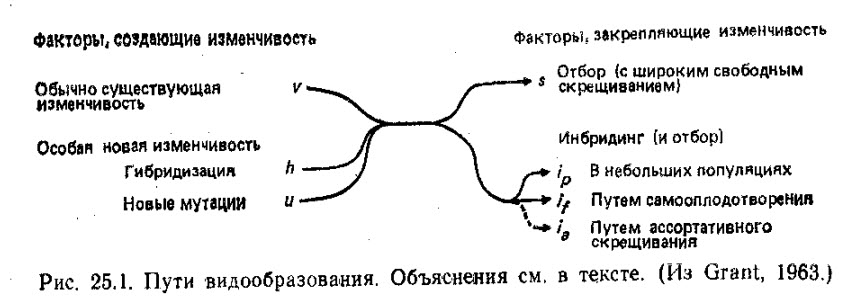 Глава 25. Общая теория видообразования