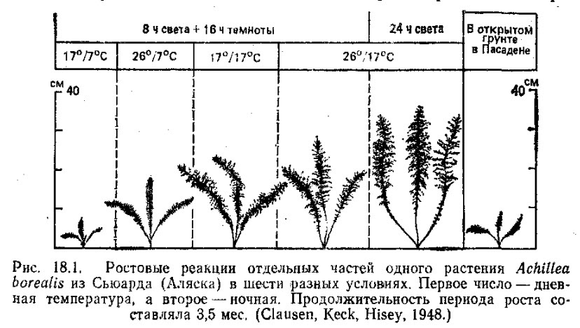 Глава 18. Преобретённые признаки. Фенотипические модификации