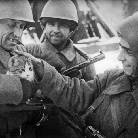 По всему фронту. Уже 22 июня 1941 года были убиты первые военнопленные. episode artwork