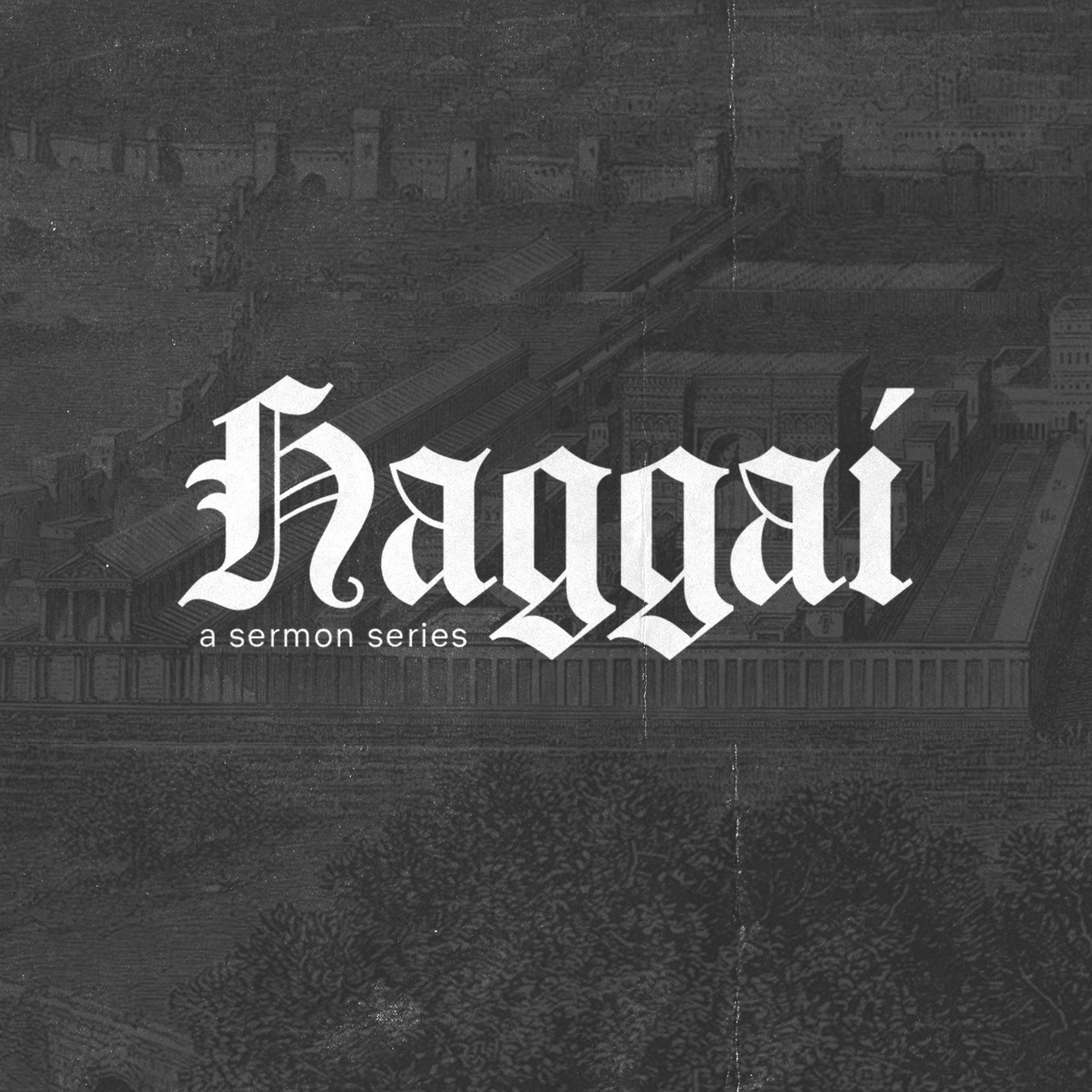 Haggai (Haggai 2: 20-23)