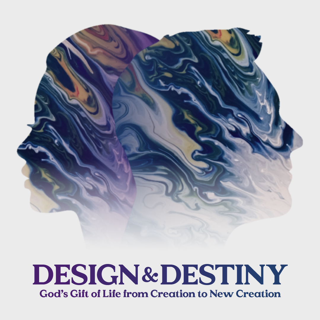 Design & Destiny (Genesis 1: 26-27)