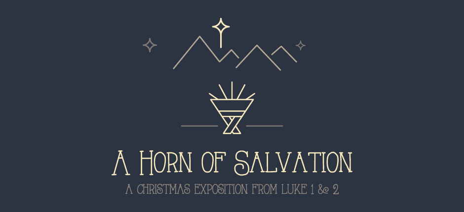 A Horn of Salvation (Luke 2:8-21)