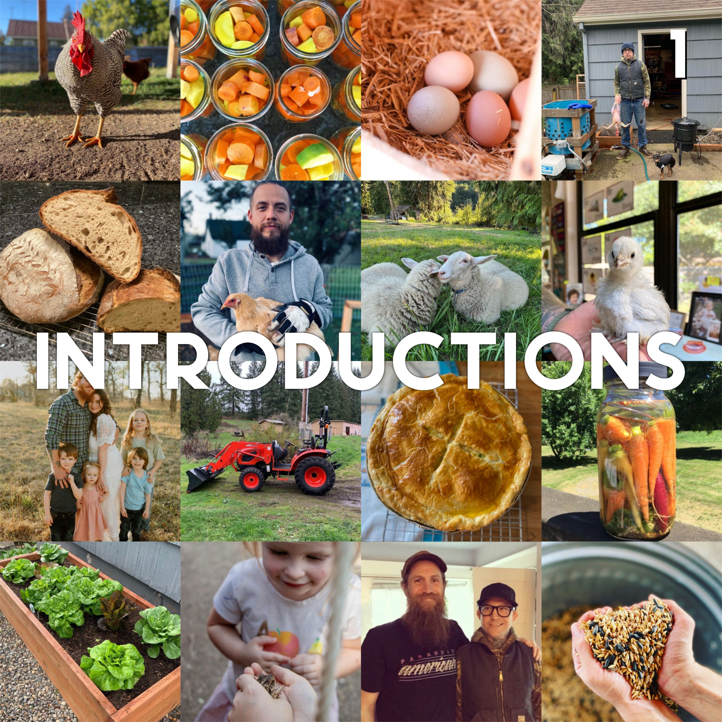 1 - Introductions