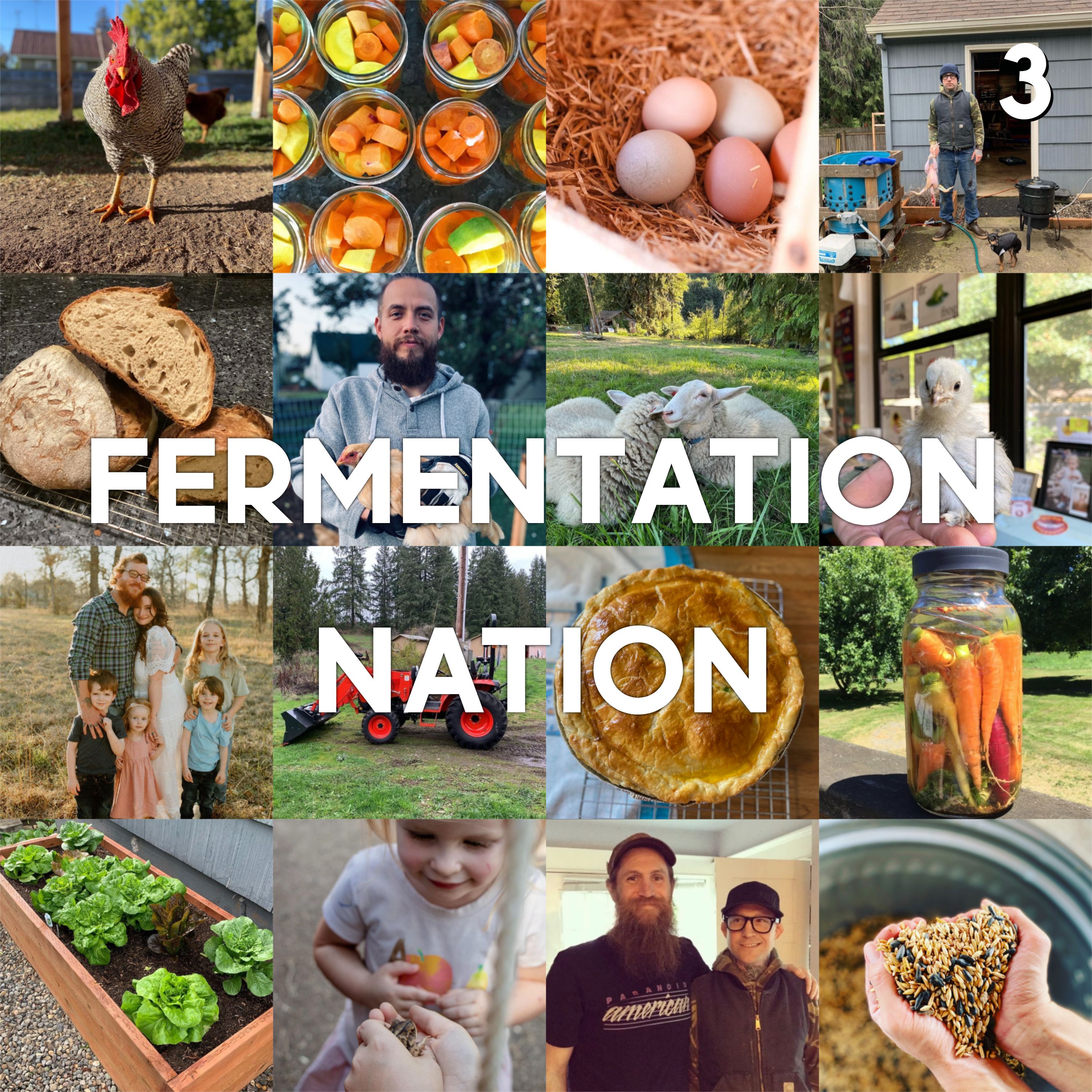 3 - Fermentation Nation