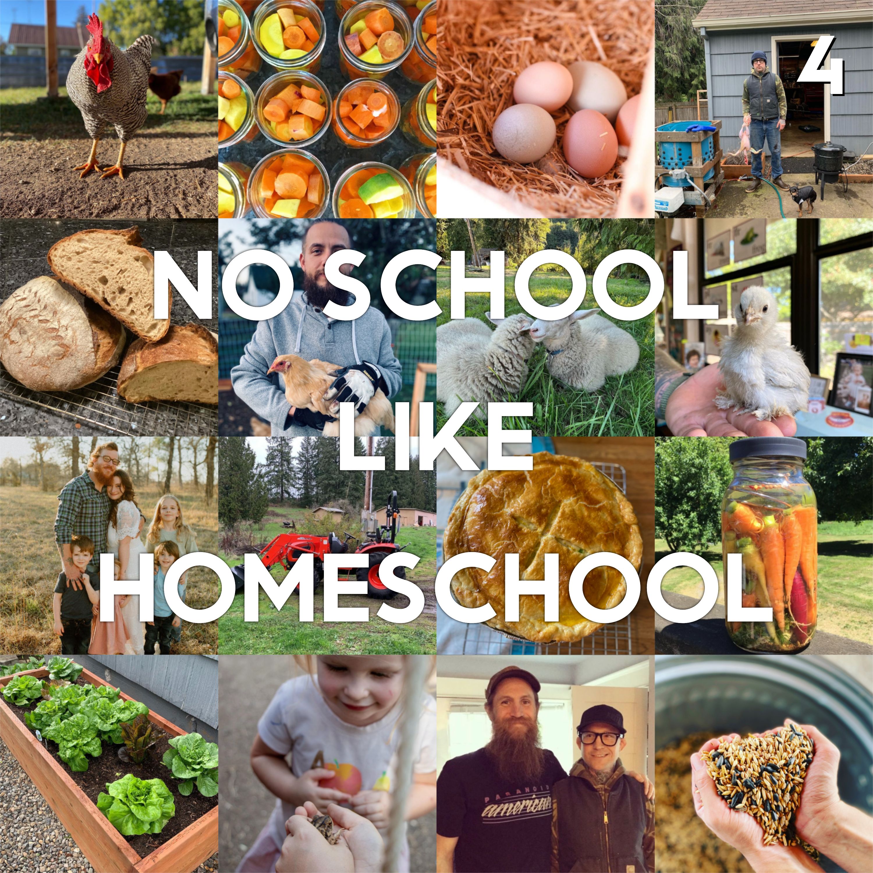 Bonus Episode: Feed The Beauty - Episode 4 - No School Like Homeschool