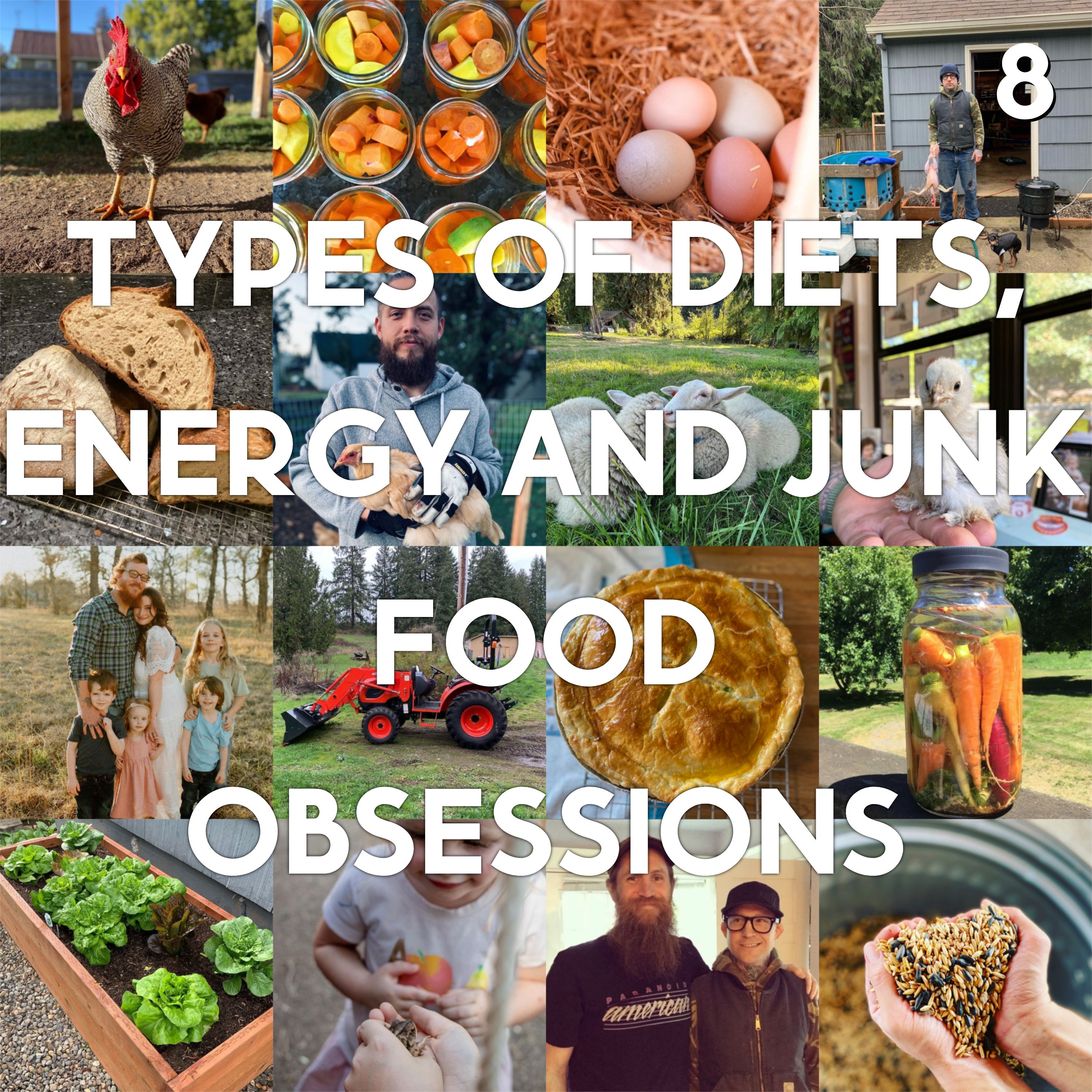 8 - Types of Diets, Energy and Junk Food Obsessions