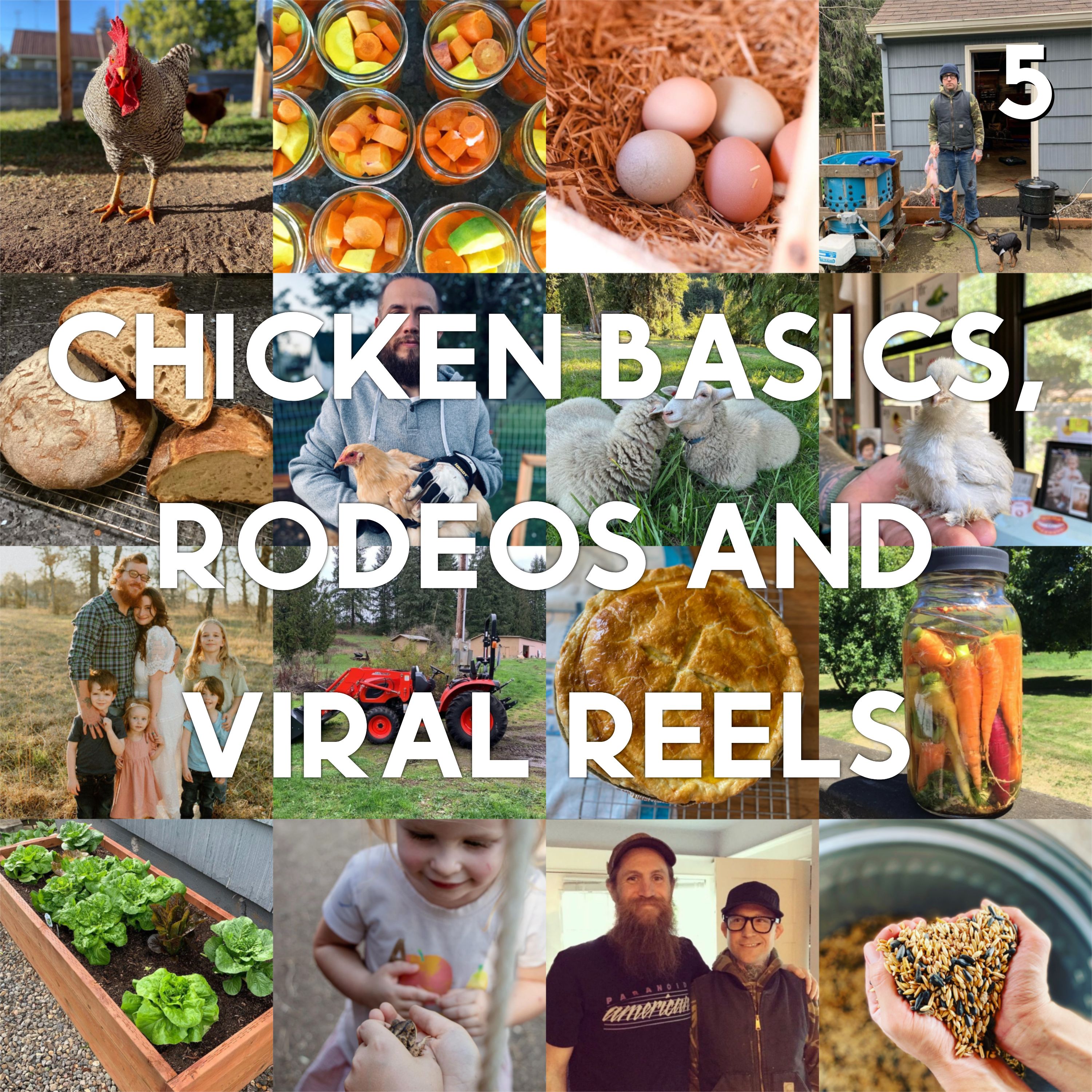 Bonus Episode: Feed The Beauty - Episode 5 - Chicken Basics, Rodeos and Viral Reels