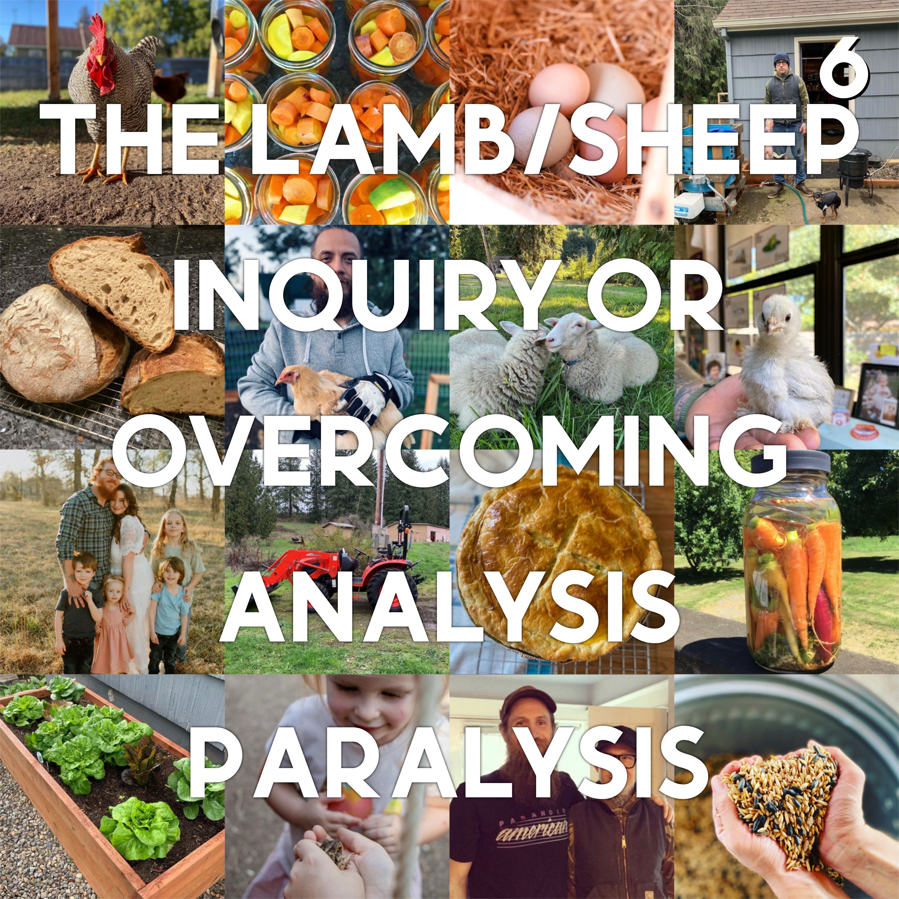 Bonus Episode: Feed The Beauty - Episode 6 - The Lamb/Sheep Inquiry or Overcoming Analysis Paralysis
