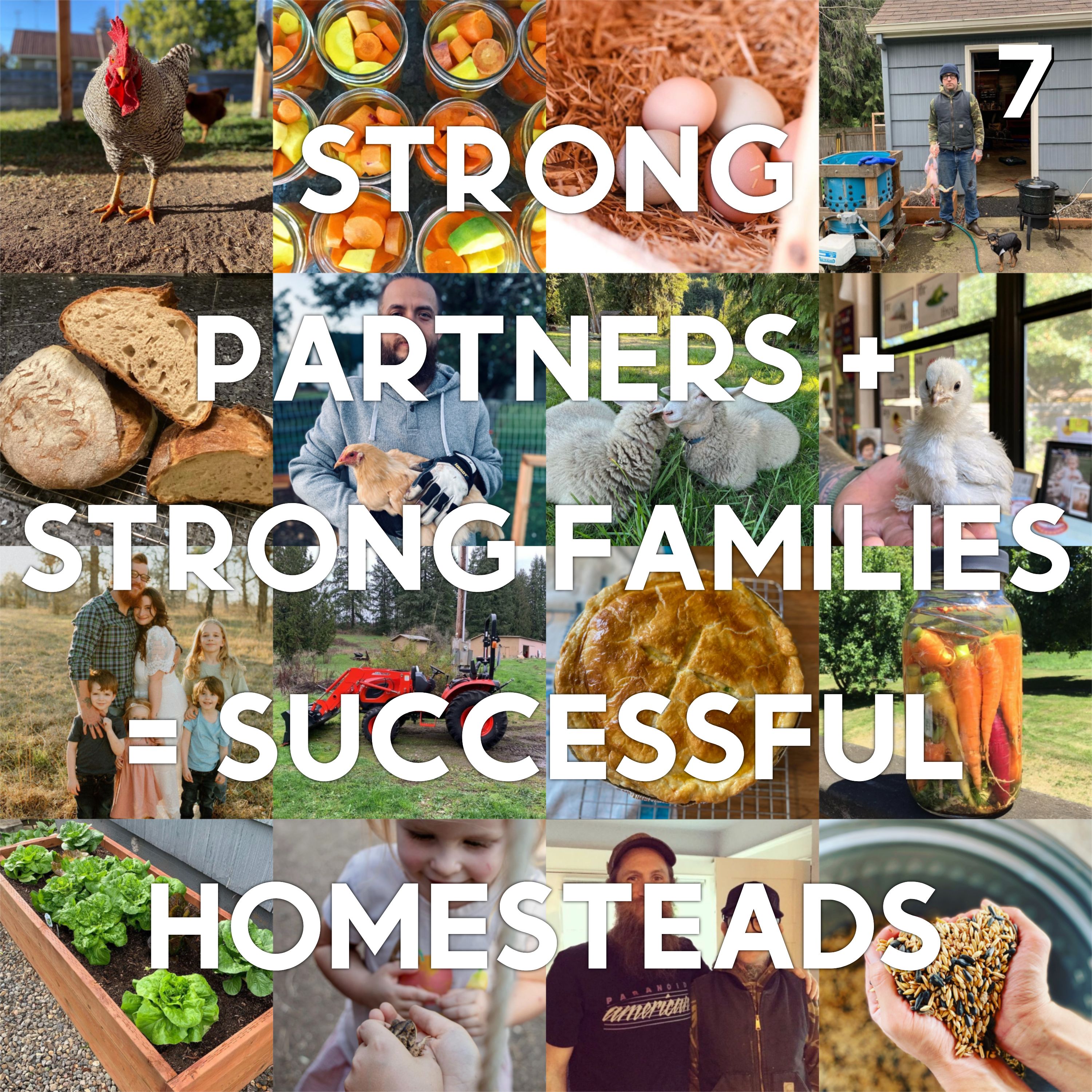 Bonus Episode: Feed The Beauty - 7 - Strong Partners + Strong Families = Successful Homesteads