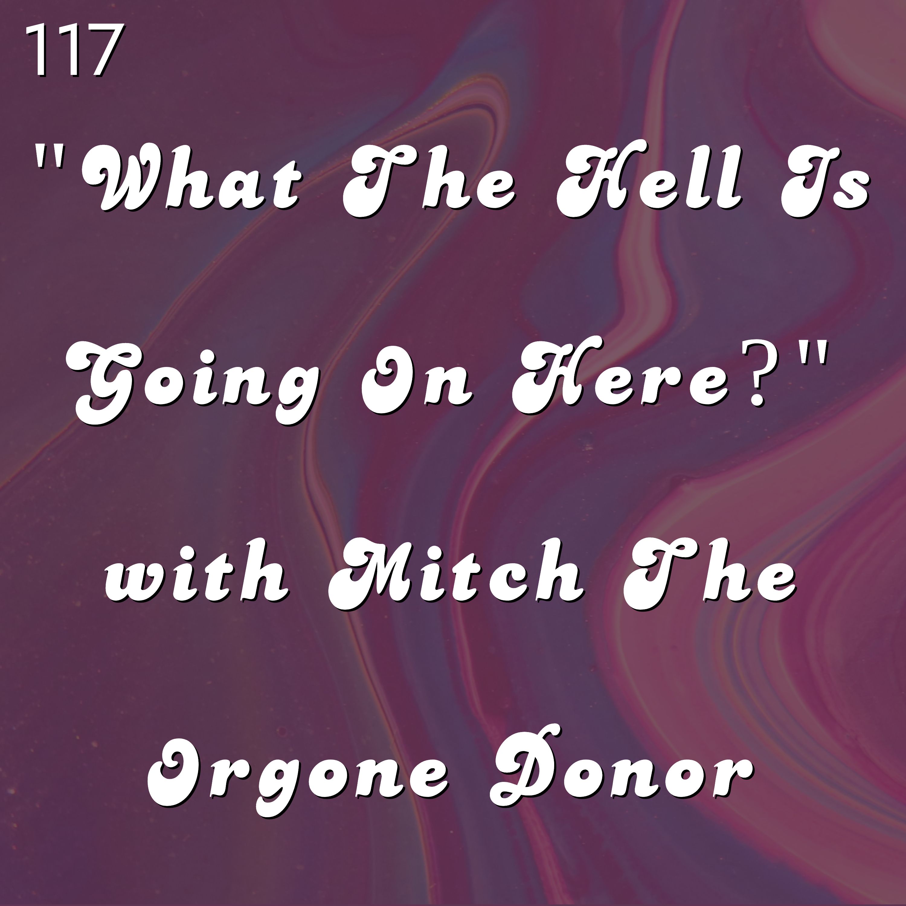 #117 - "What The Hell Is Going On Here?" with Mitch The Orgone Donor