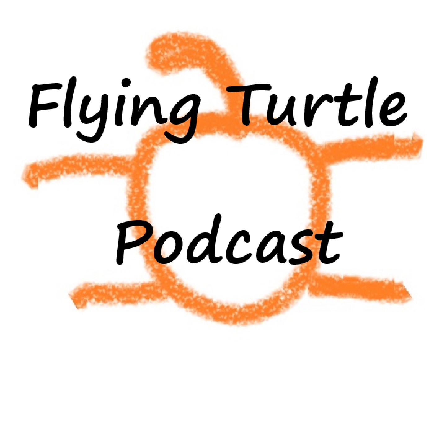 Flying Turtle Podcast, Episode 19: Transformation. Attitude Is Everything