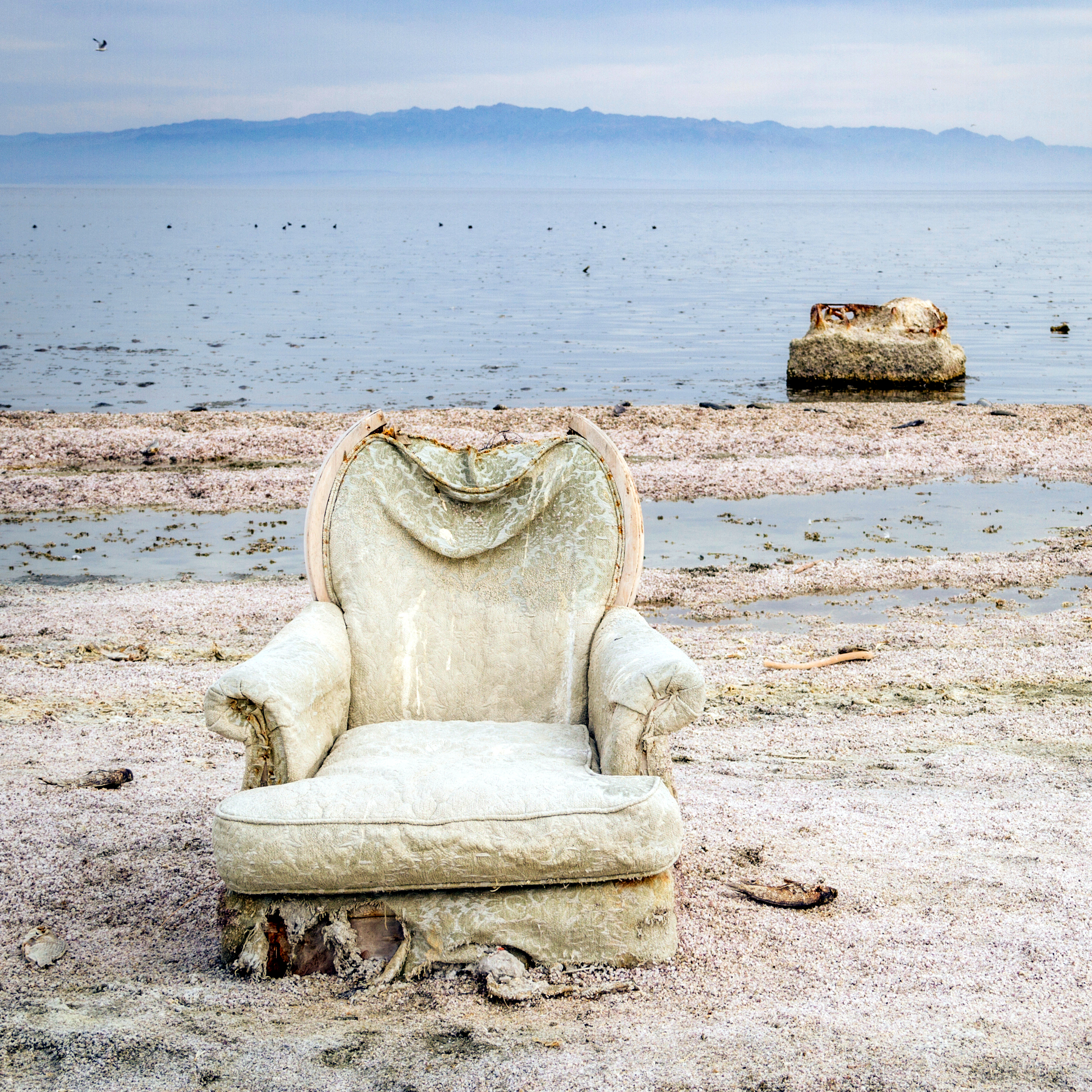 Salt Lakes: Extraordinary Ecology and Collapse