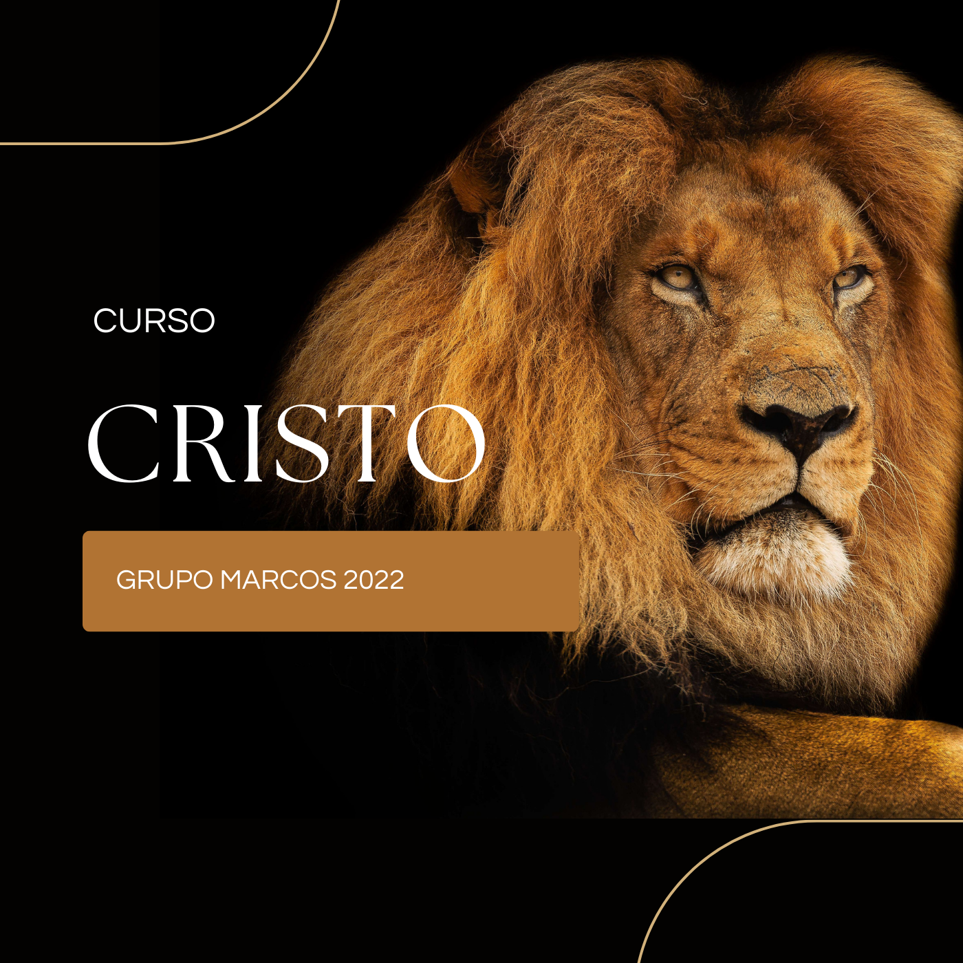 A Figura do Cristo - 2022