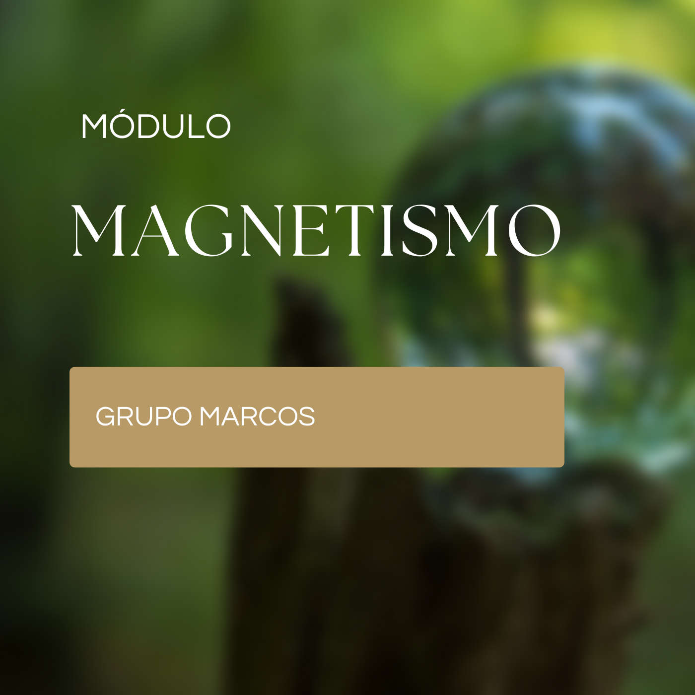 Encontro 4 – O magnetismo dos vegetais e sua relação com os seres humanos