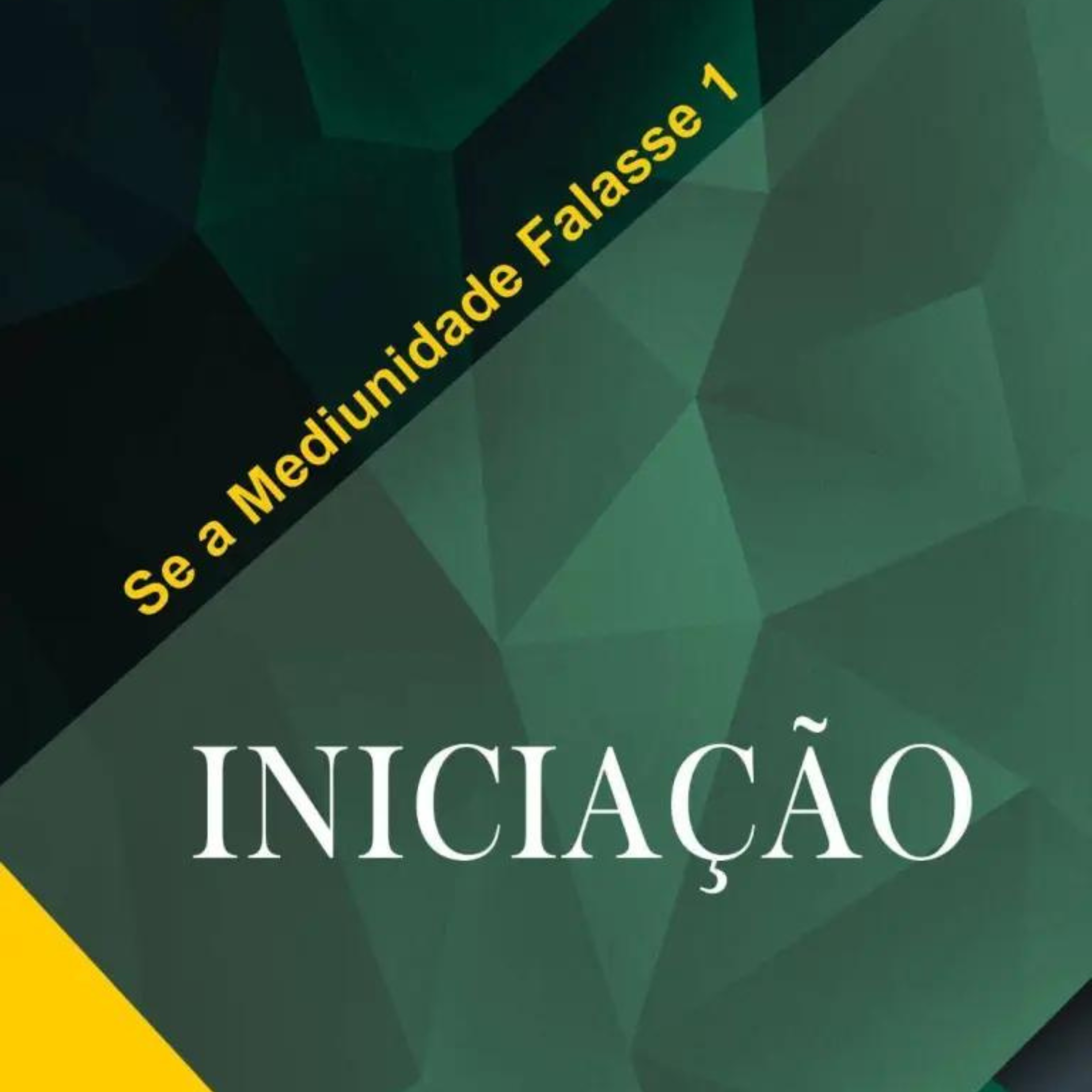 Grupo Marcos - Áudio livro - Se a Mediunidade Falasse 1 - Iniciação 