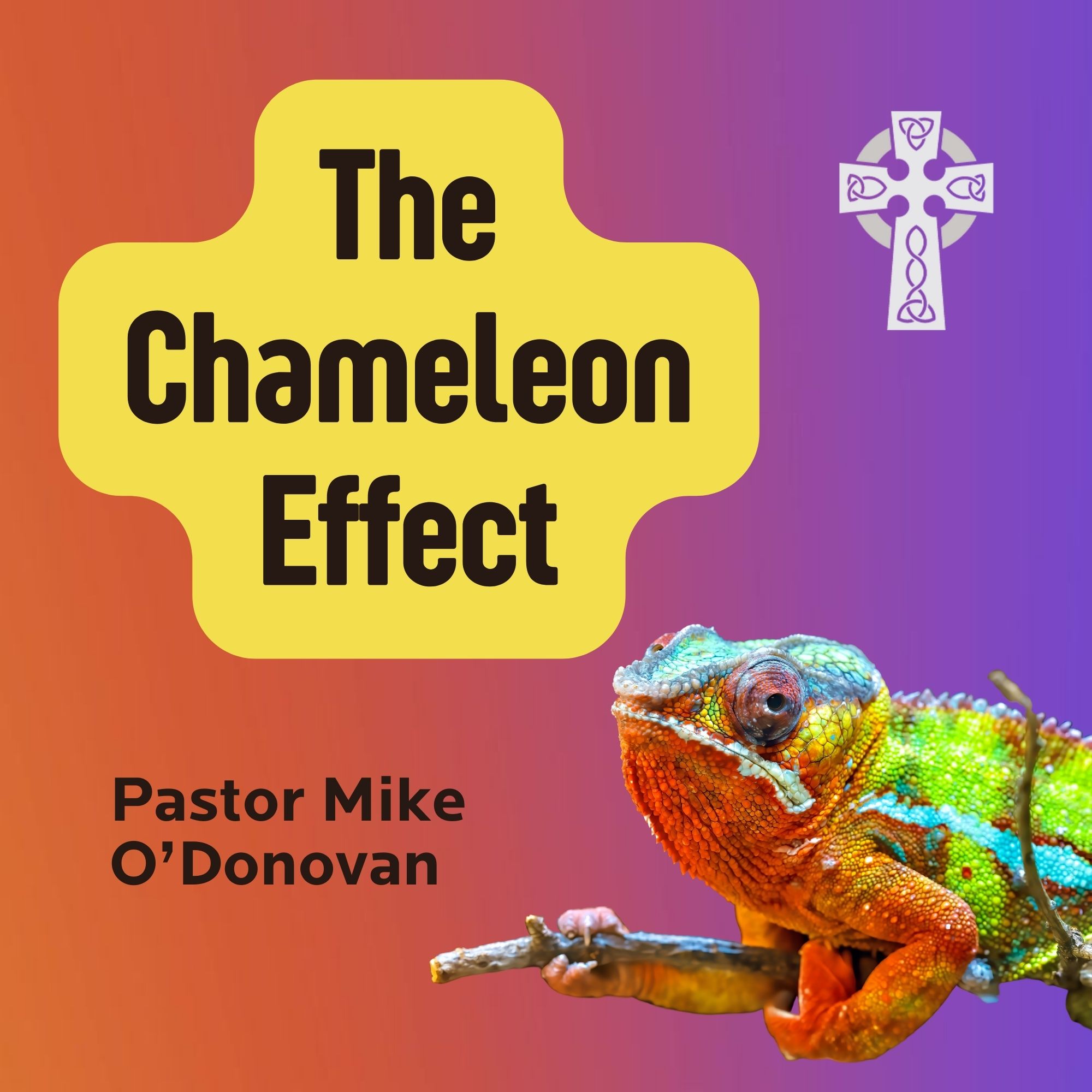 The Chameleon Effect - Pastor Mike O'Donovan