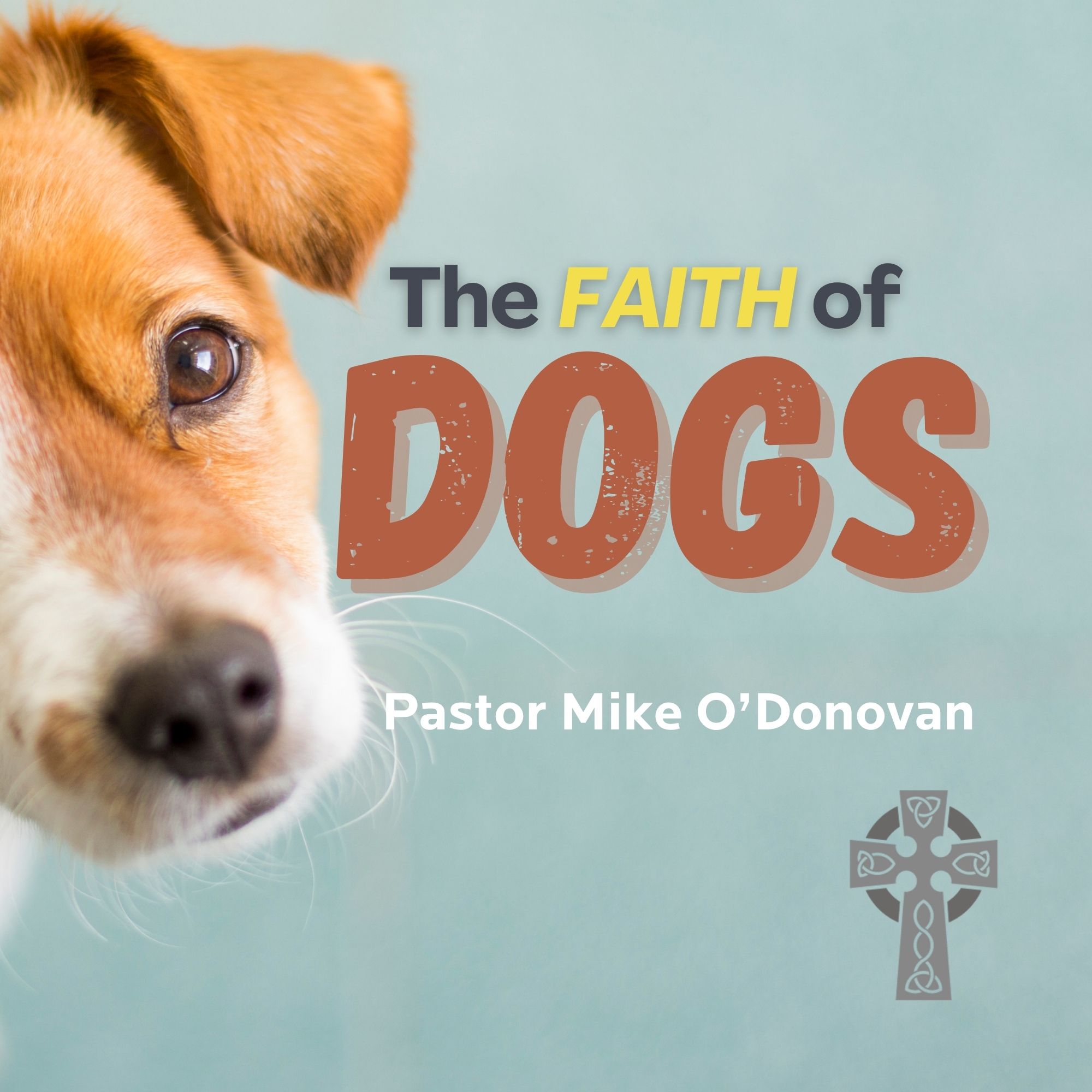 The Faith of Dogs - Pastor Mike O'Donovan