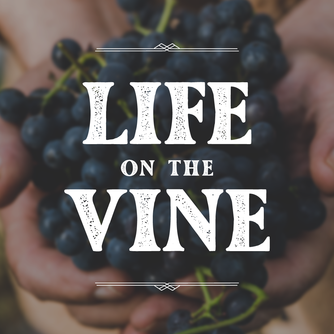 Life on the Vine (March 21, 2022)