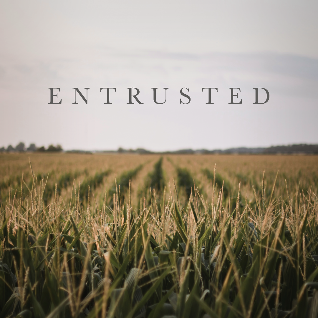 Ep 1: Entrusted episode artwork