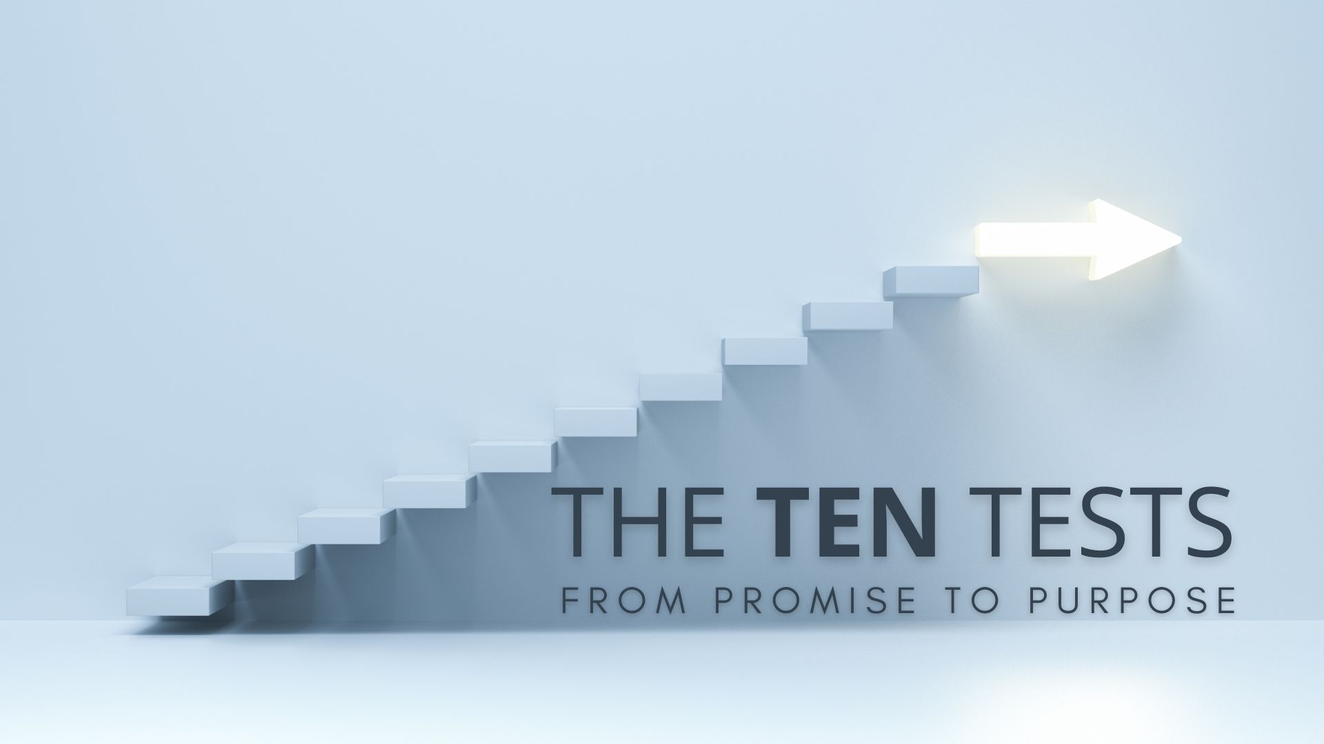 The TEN Tests: From Promise to Purpose - The Pride Test