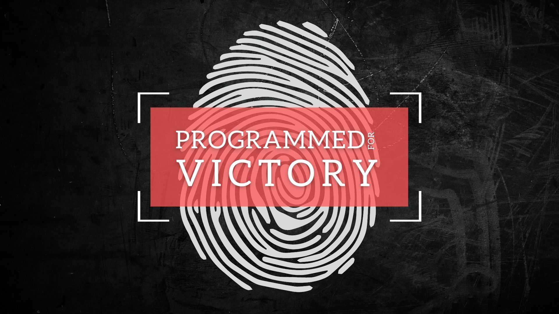 PROGRAMMED FOR VICTORY: Victory Ahead, Don't Quit