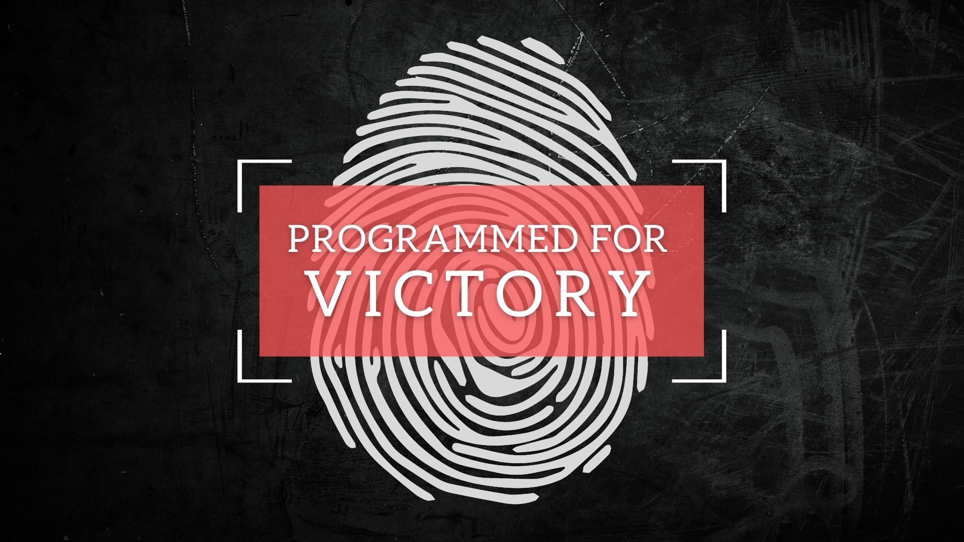 STEPS TO VICTORY - Programmed for Victory Series with Pastor Daniel