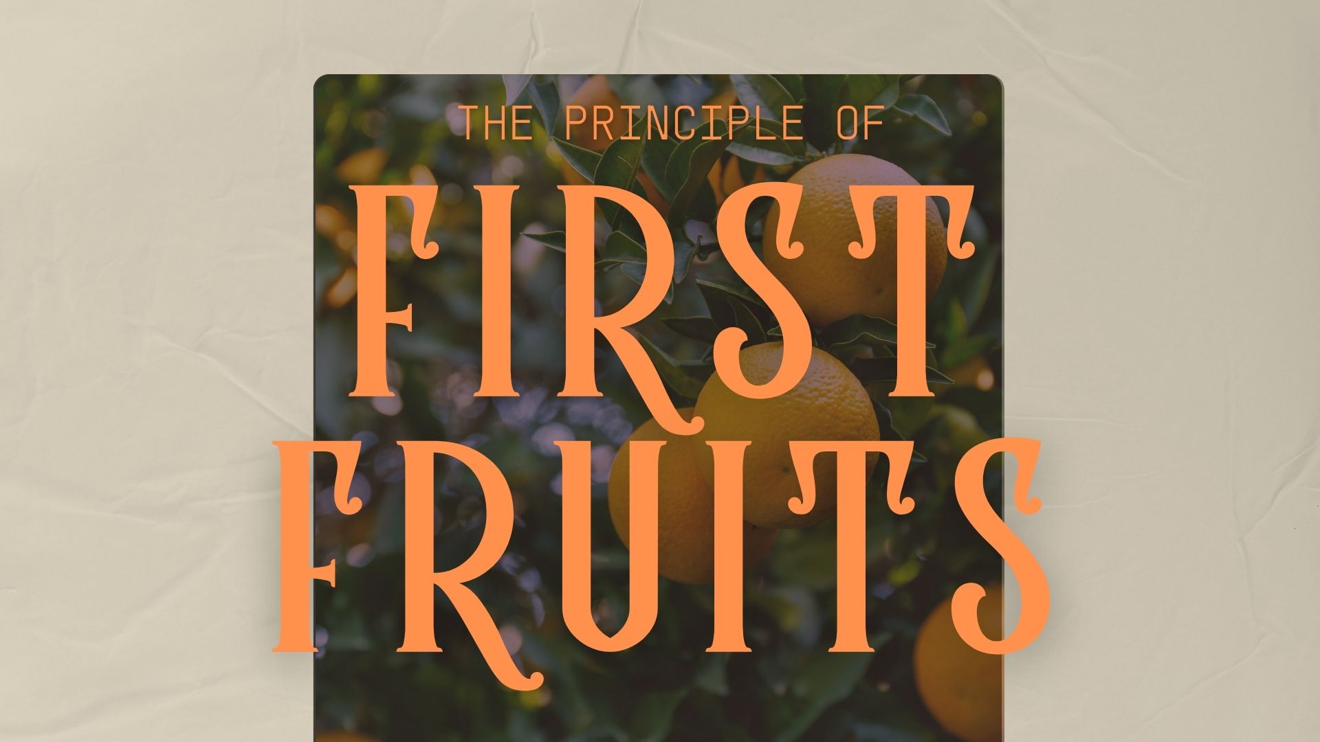 Reaping and Sowing - First Fruits Sermon Series