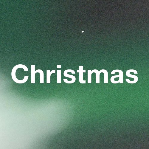 Christmas 24 // The Seed // Charlotte Curran