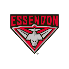 Essendon Season 7 Preview + Amelia Radford