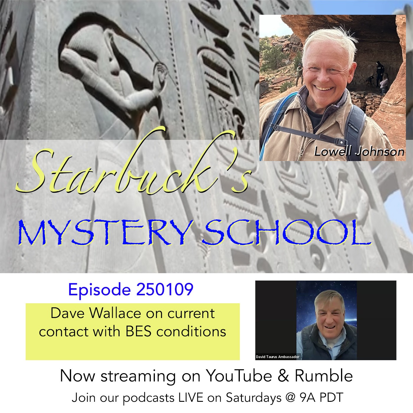 David Wallace and Lowell 250109 on current BES contact
