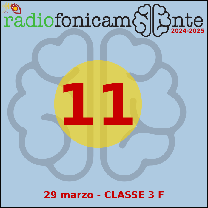 29 marzo 2025 - Classe 3 F