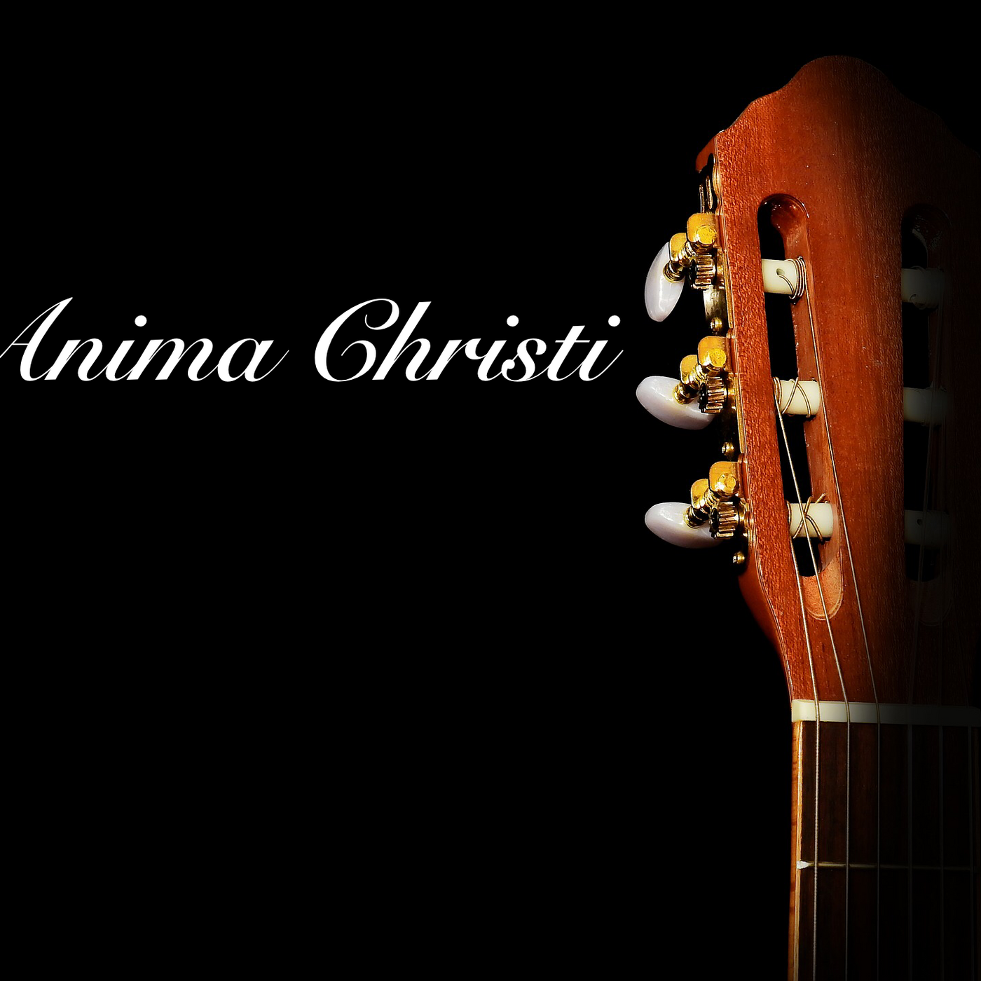 Anima Christi
