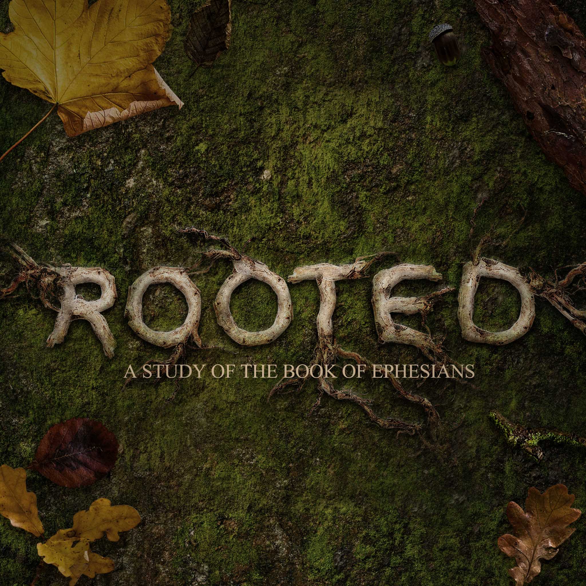 Rooted - A Study of the Book of Ephesians - Intro To Ephesians