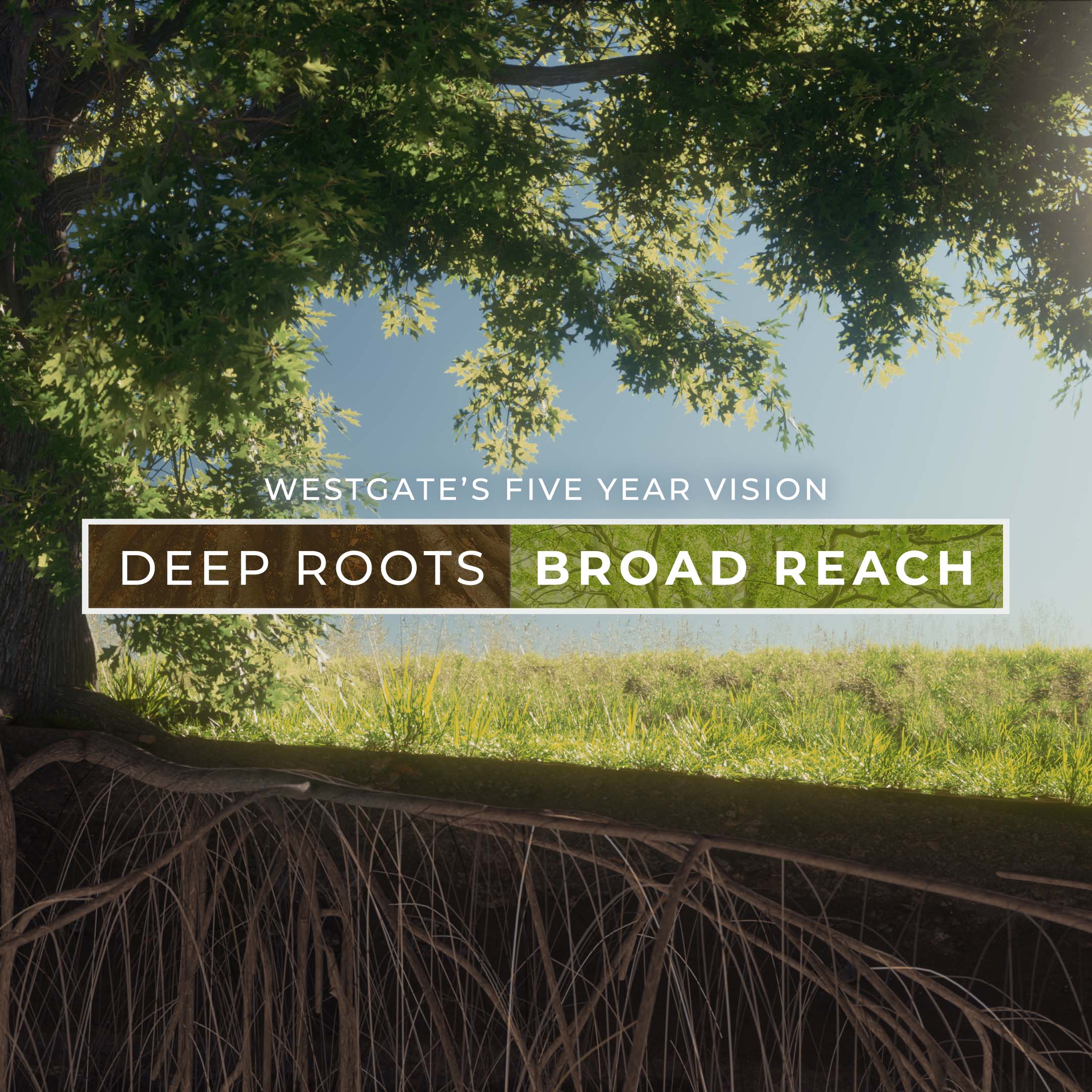Deep Roots Broad Reach - Growing Deeper