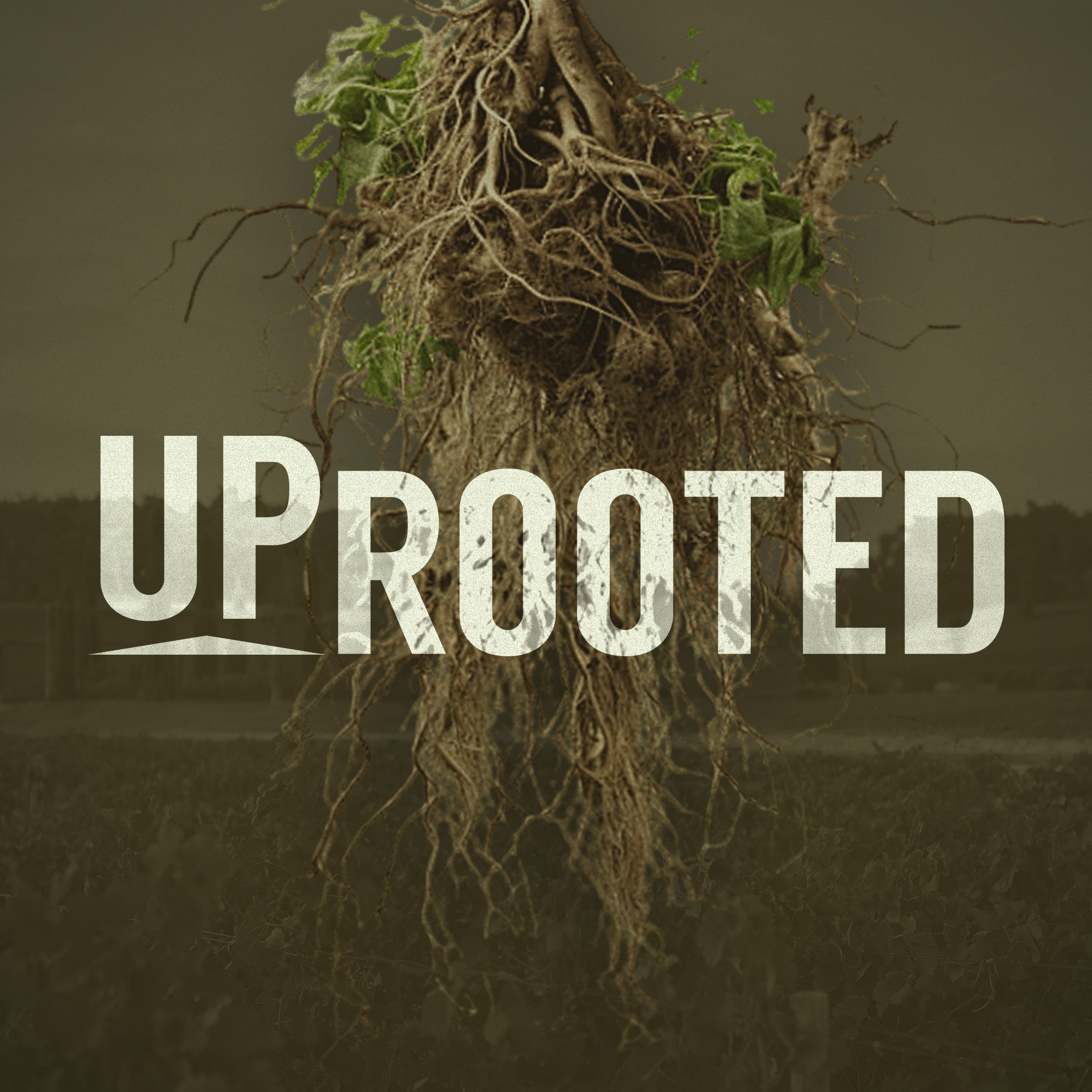 Uprooted: Greed - Luke 12:13-14