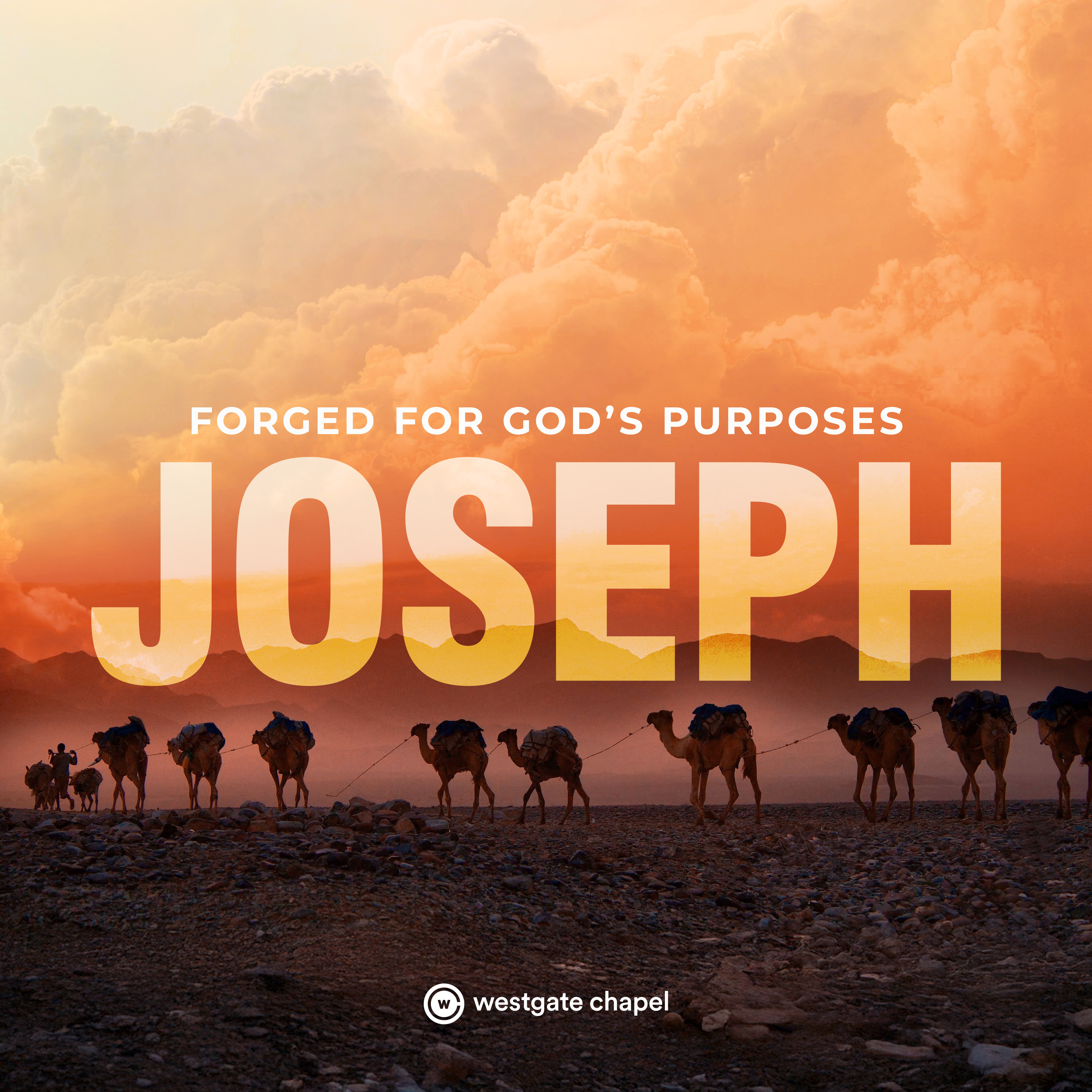 Forged for God's Purpose (Joseph) - When the Dream Falls Apart - Rob Zimmermann