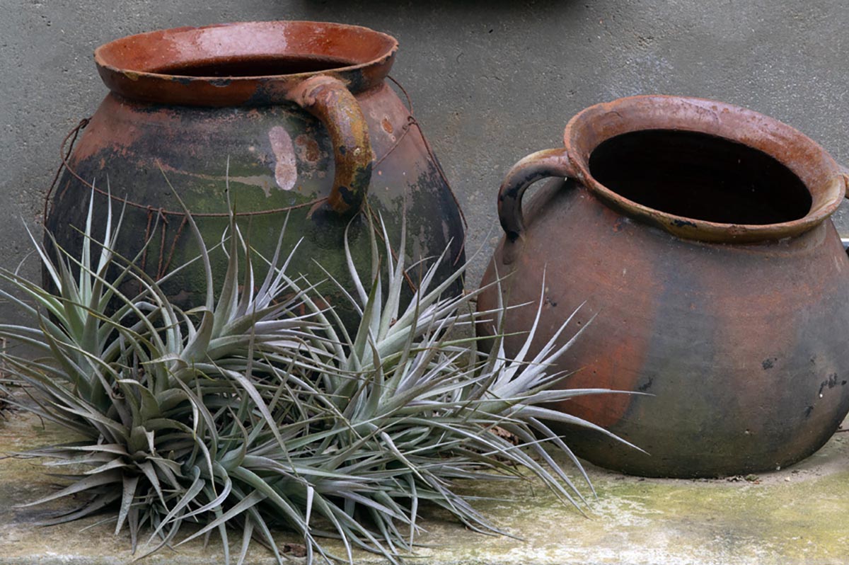 Closcadelletra (CDLXIX): Pouar en la tinta braverols de fervor