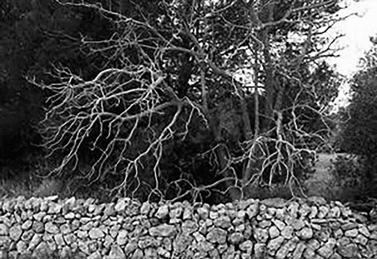 Closcadelletra (CDLXXIII): Notes de piano al casal antic