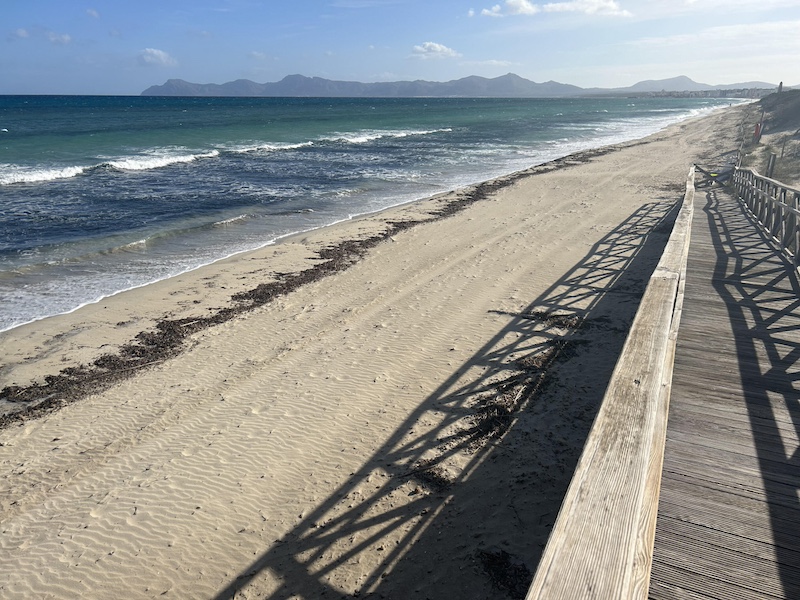 Closcadelletra (CDLXXX): El món fet literatura