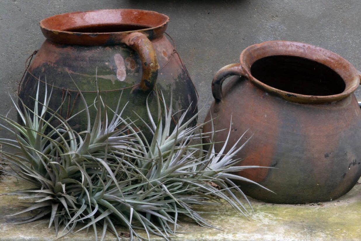 Closcadelletra (CDXCI): Un univers en què res no és segur