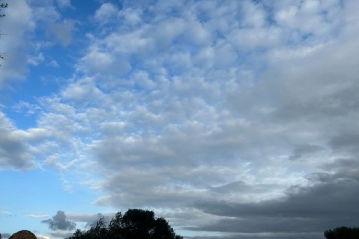 Closcadelletra (CDXCVII): El jardí del temps