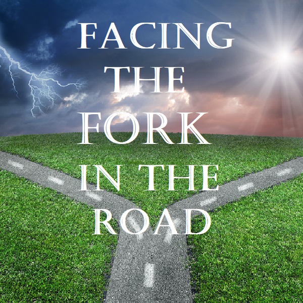 Facing the Fork in the Road