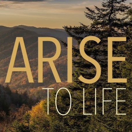 Arise to Life | Andrew Itson | It Is Well When All Is Not Well