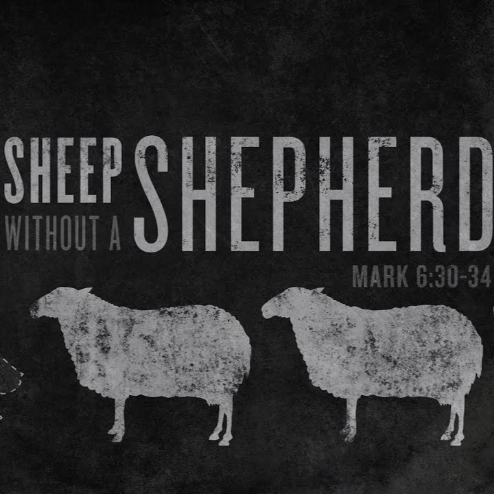 The Good Shepherd | Andrew Itson