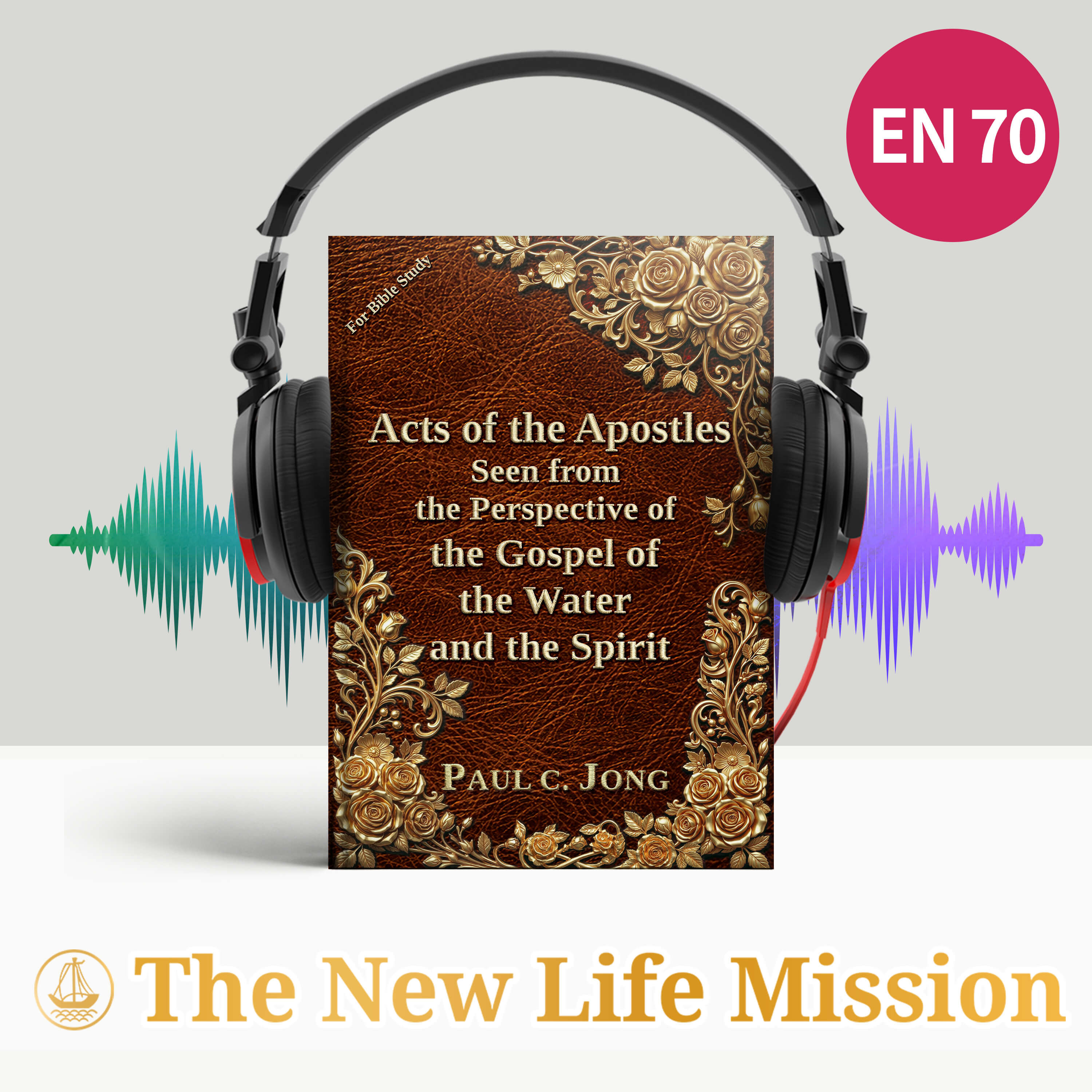 Acts of the Apostles Seen from the Perspective of the Gospel of the Water and the Spirit