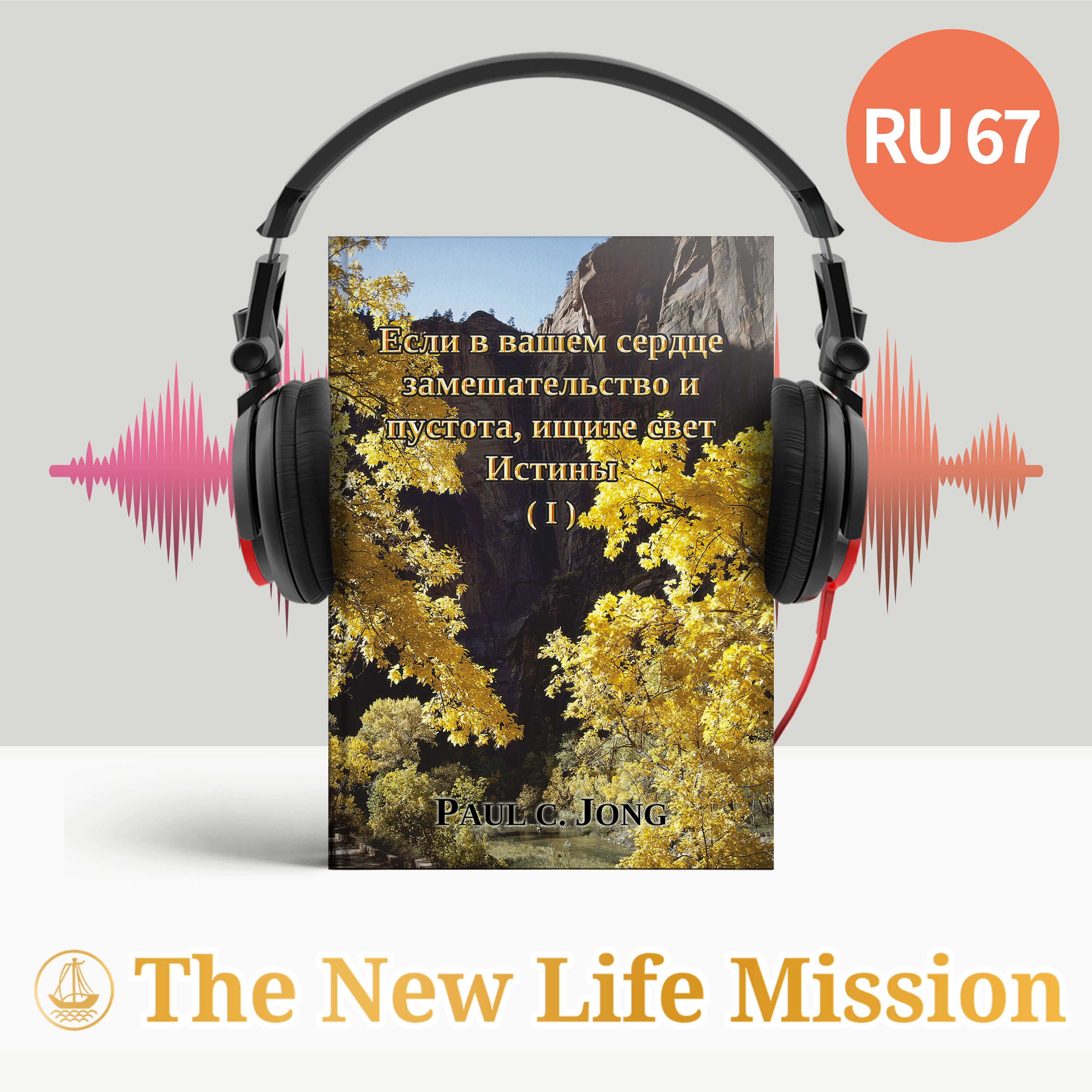 Если в вашем сердце замешательство и пустота, ищите свет Истины (I)