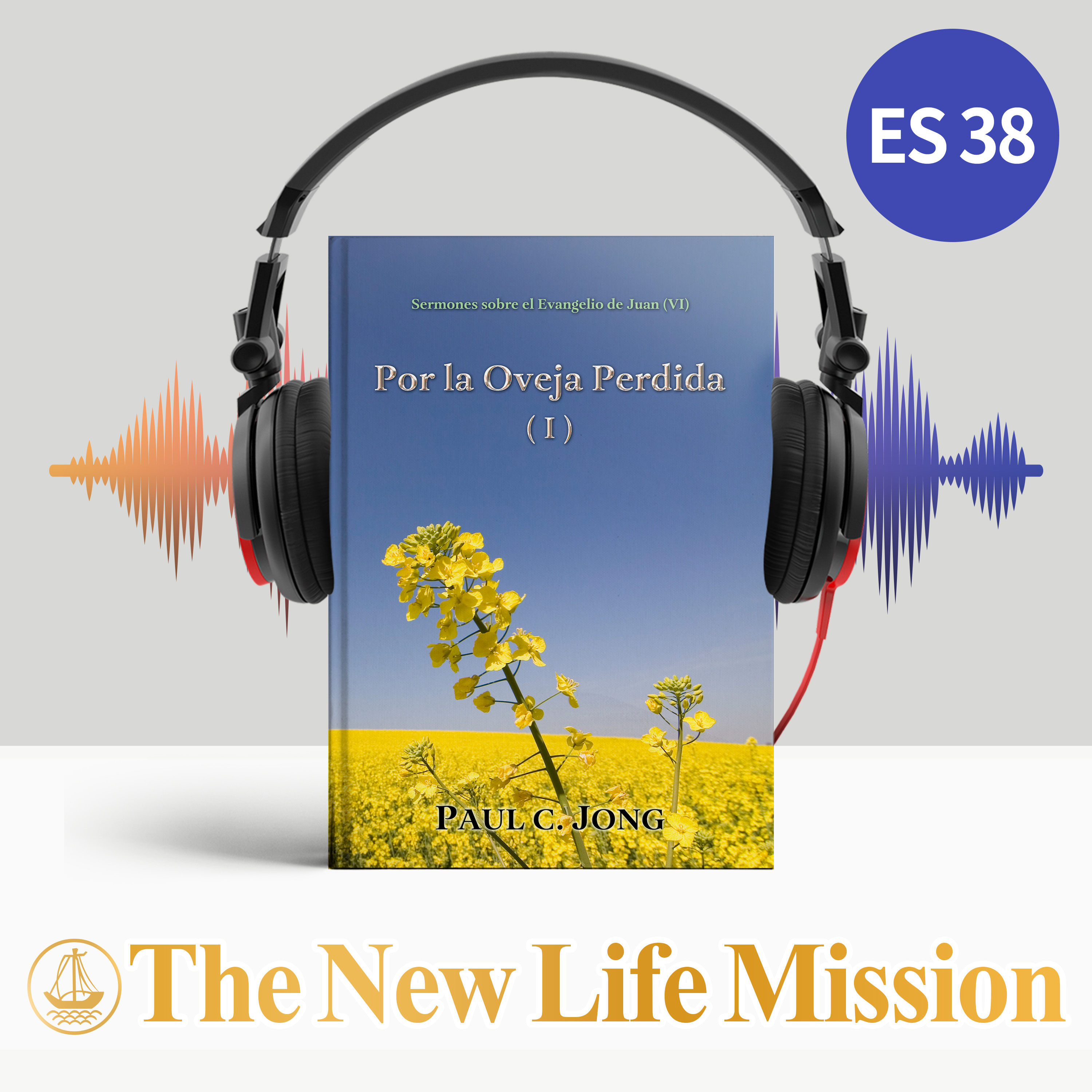 Sermones sobre el Evangelio de Juan (VI) - Por la Oveja Perdida (I)