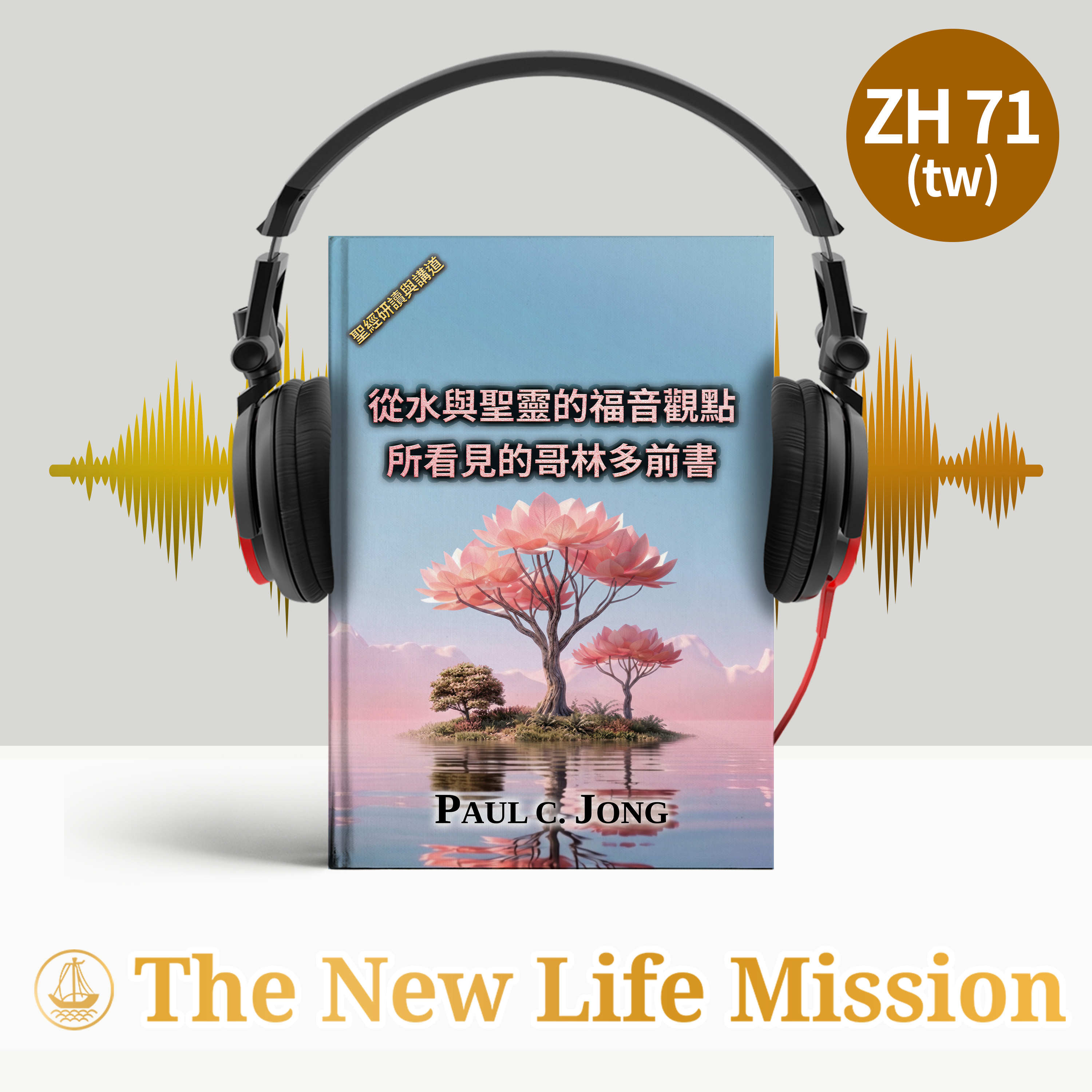 從水與聖靈的福音觀點所看見的哥林多前書