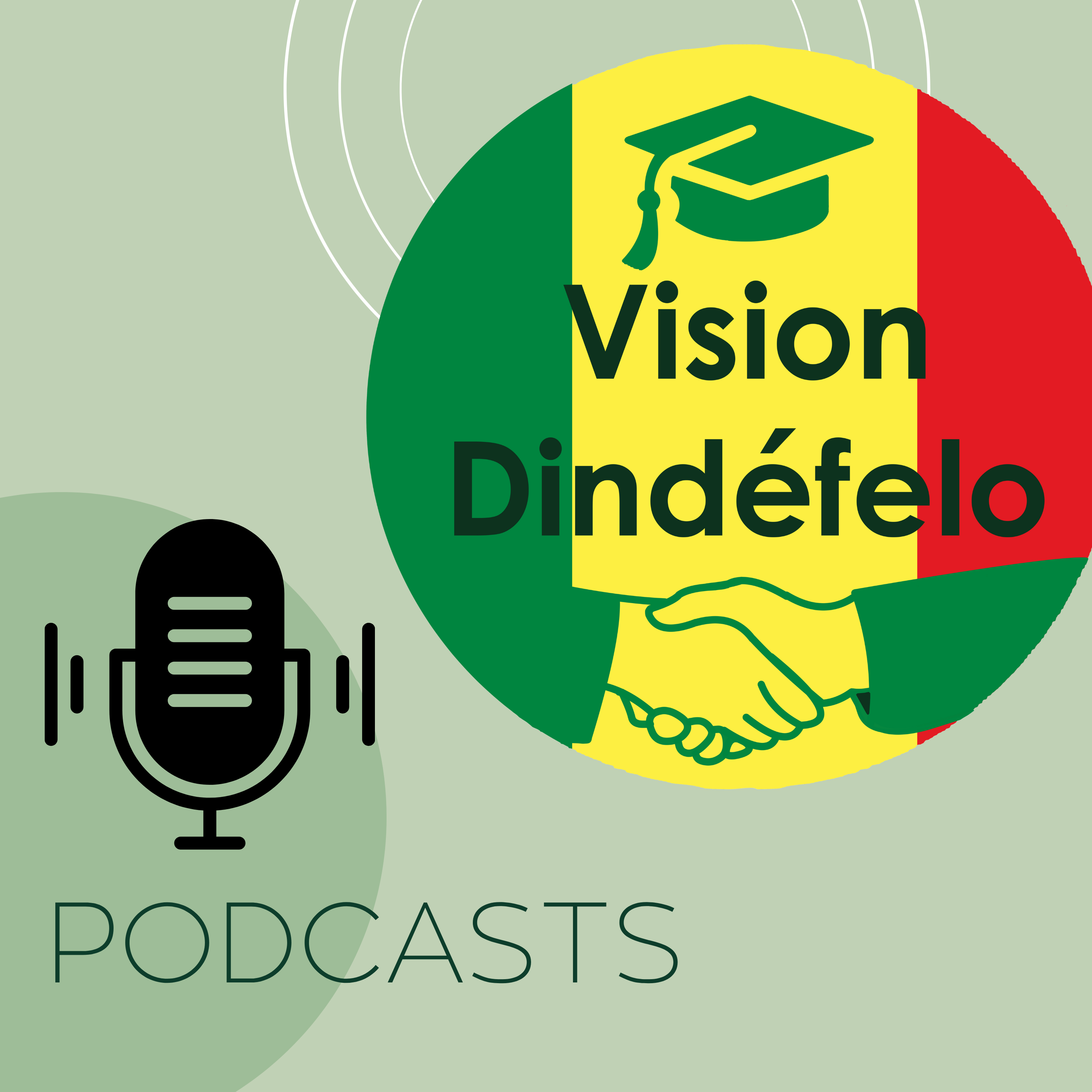Vision Dindefelo - Un projet de service learning au Sénégal (1)